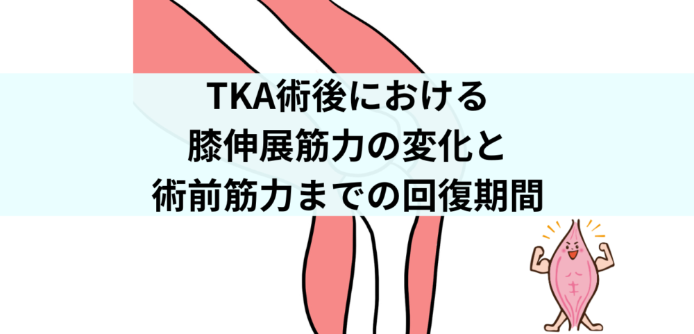 TKA】術後膝伸展筋力の変化と術前筋力までの回復期間【筋力】 | 理学 